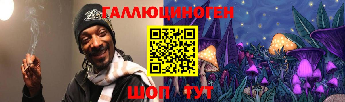 где можно купить   Галлюциногенные грибы Psilocybe  Черкесск  Вход с VPN  Галлюциногенные грибы MAGIC MUSHROOMS 